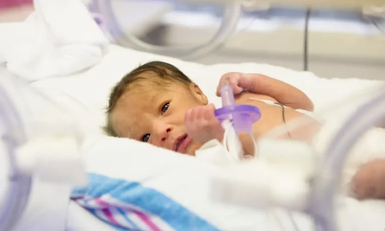 Texto do seu parágrafo